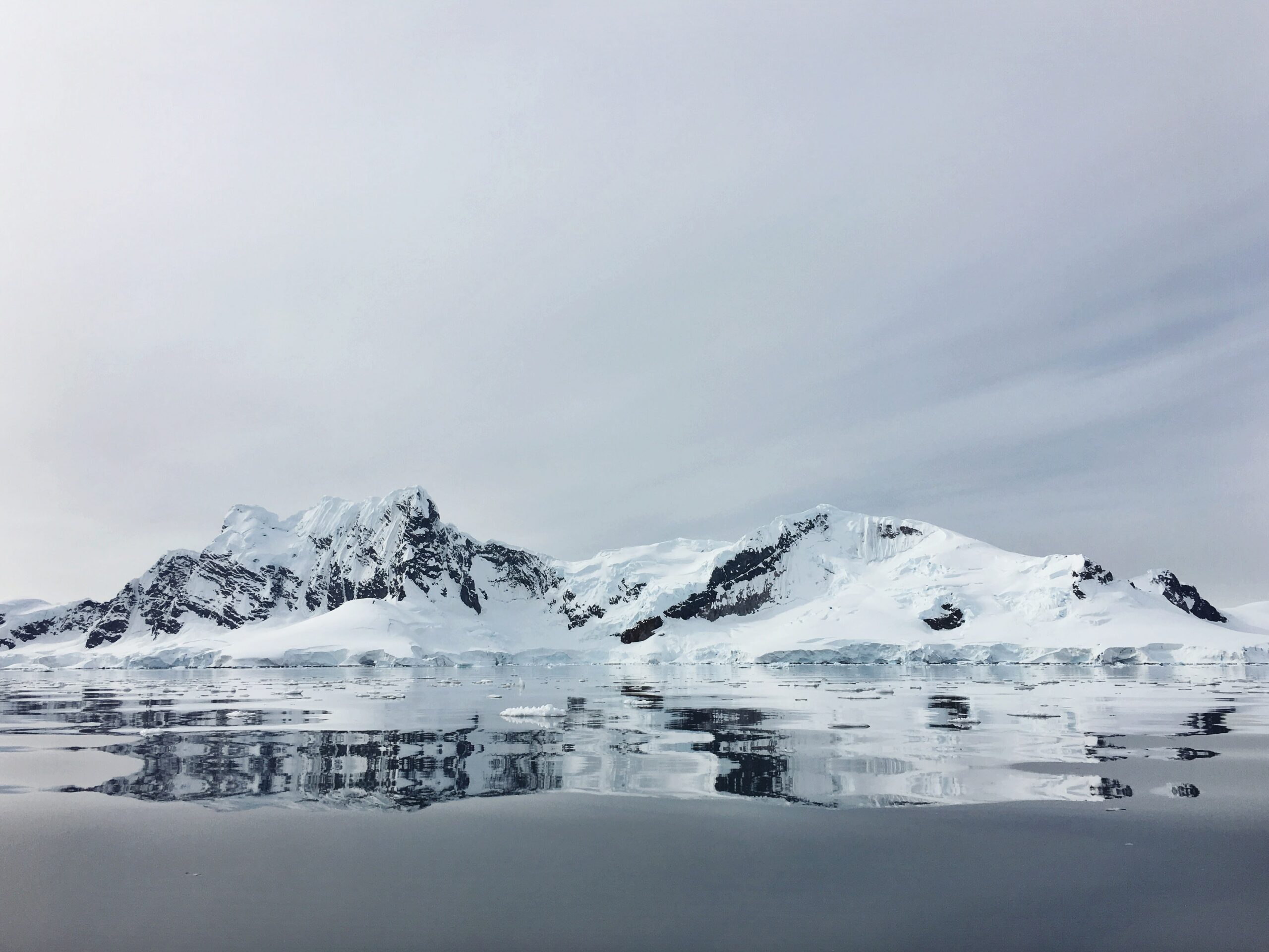 Progressive new alliance seeks personhood status for Antarctica